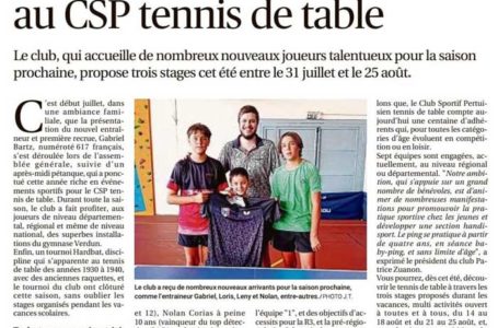 Article Tennis de table
